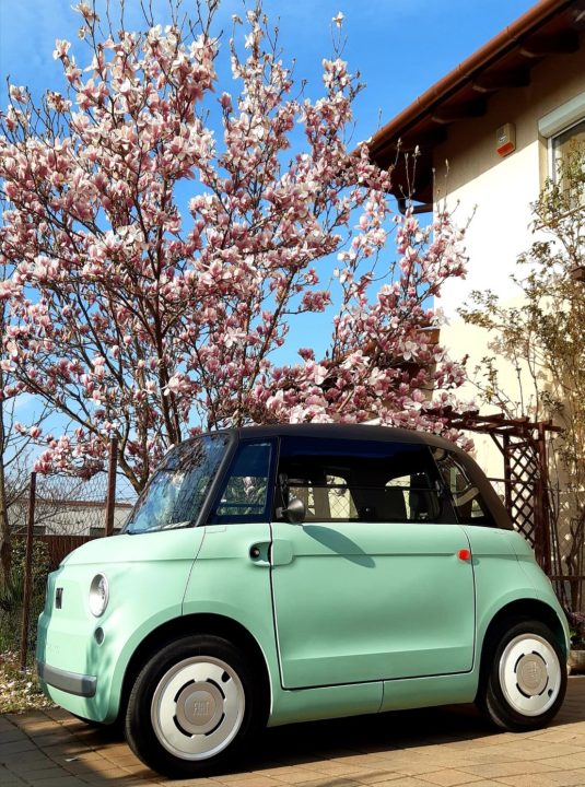 TOPOLINO E