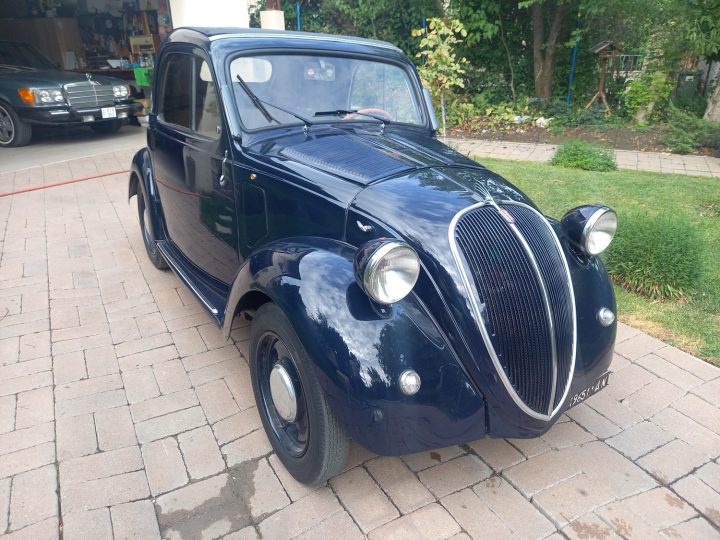 TOPOLINO B