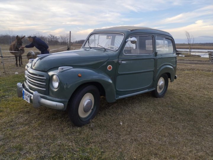 TOPOLINO C BELVEDERE